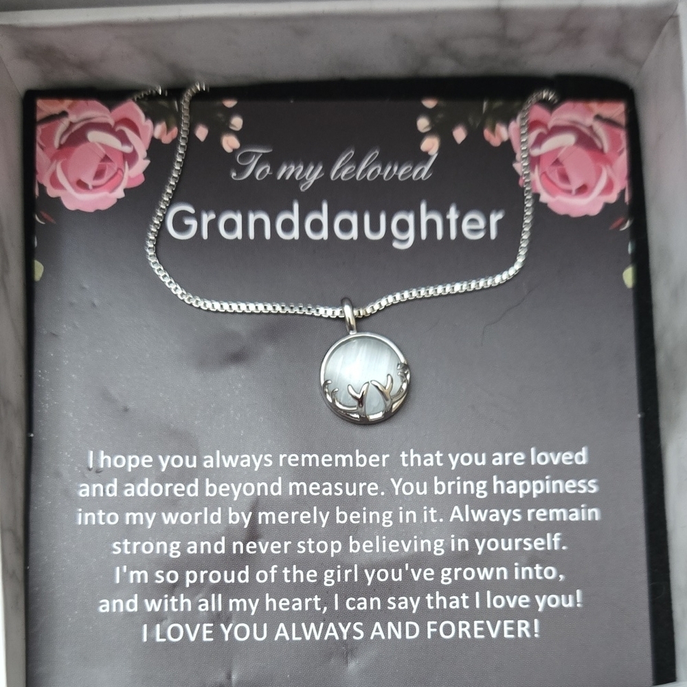 Silver Necklace with Heart Pendant